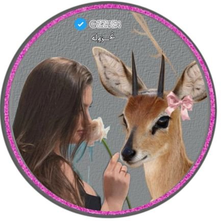 zzc5_'s profile picture. 𓃴