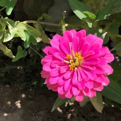 fbhdJIA's profile picture. 私は主に米国株の決算や暗号資産を分析し、ファンダメンタルから成長のチャンスを探しています。
好きなことは、ゆっくりと丁寧に取り組むことです。