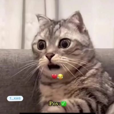 SolTan_999_999's profile picture. 