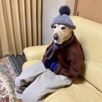 homemadespum's profile picture. I used to have hoop dreams until I found out there were other ways to score | Mets Survivor | House, Techno and Future Enjoyer |   #COYG