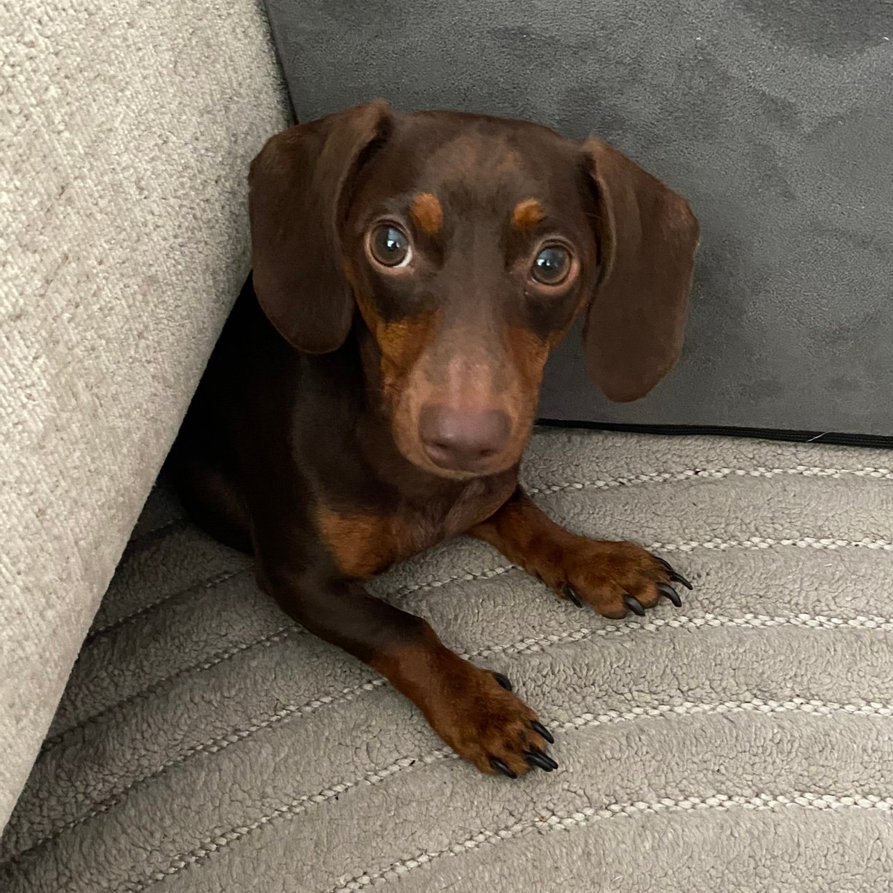 _Bunker24's profile picture. 