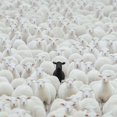 weird_dreamz_'s profile picture. 