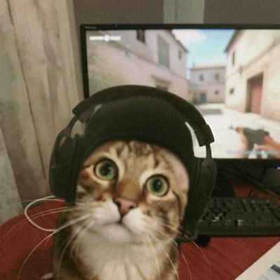 matgllt's profile picture. TRUST THE PROCESS ⏳