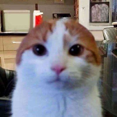 ferppresidente's profile picture. baby, Heaven is in your eyes