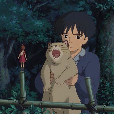 nejivizion360's profile picture. 