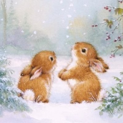 technicalice's profile picture. 📿💐