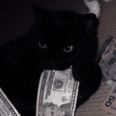 whosonder's profile picture. 18+ acc (MDNI) i fuck better than you