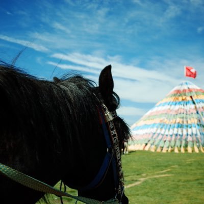 jepson4u's profile picture. Immunology PhD🧬🔬 | Photographer📷