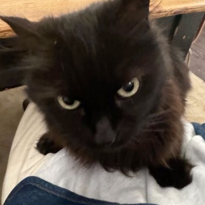 tumbettecorew's profile picture. 