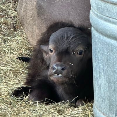 litrallyhitlr's profile picture. wife, mom, crazy lady