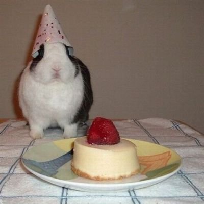 pponyacho5577's profile picture. 