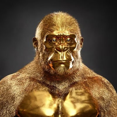 CyrusAbrahimX's profile picture. 