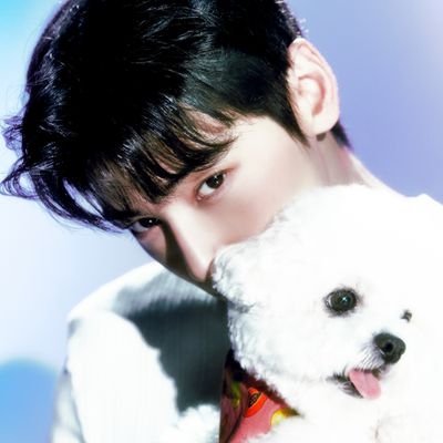 perfect_luanzin's profile picture. não me leve tão a sério, nem eu faço isso.