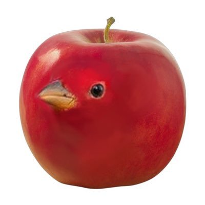 sttanyb's profile picture. lésbica e trambiqueira