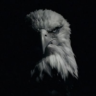 ObeDeeATLAS's profile picture. 