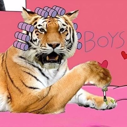 diluviobaiano's profile picture. 