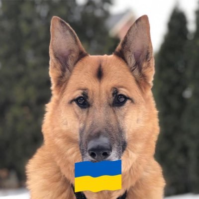 nandon2425's profile picture. Proud daughter of 2 WWII Vets, Pro-Choice, LGBTQ+ Ally/Animal Rescue/Habs/BlueJays 🚫DM’s 🚫MAGA #CanadaIsNotForSale #ReleaseTheFiles #sassenach2@bsky.social