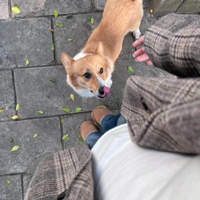 Elysian_n1's profile picture. 生活は洗練された体験です。旅行で出会った美しい風景やアートから受ける深い感動が大好きです。毎旅は心の成長の一歩です
#互関 #互fo