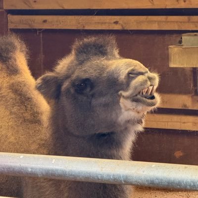 AJacrossthepond's profile picture. 42 year old married dad that enjoys sports, playing video games and watching movies.