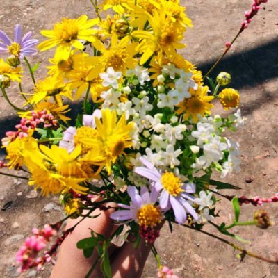 jlodgasdfg's profile picture. 野心が私を前へと進ませ、セーリングは私に忍耐を教え、新しい味は多様な文化への扉を開いてくれます。
私はアメリカとカナダに一度行ったことがあります。そこが今まで行った中で一番遠い国ですが、どちらも本当に素敵な場所でした。
もし機会があれば、また行きたいと思っています。
そして次は、日本と韓国ですね。