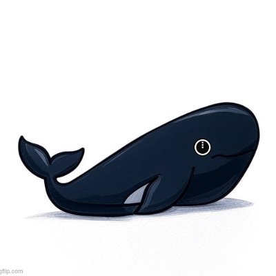 the_night_whale's profile picture. Just a friendly $NIGHT whale