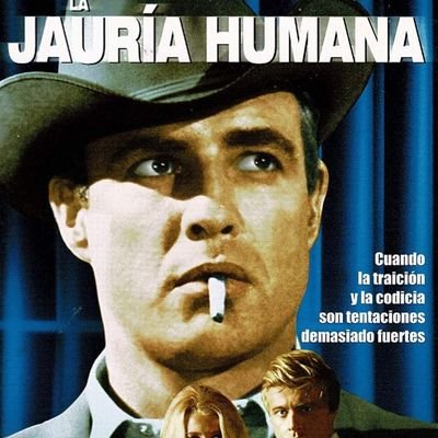 miguel_tamames's profile picture. NO CONTESTO NI RECIBO MD POR SEGURIDAD.⛔️⛔️⛔️⛔️⛔️⛔️⛔️⛔️⛔️⛔️⛔️⛔️⛔️⛔️