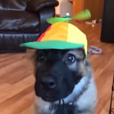 Matfurtado_'s profile picture. pronomes: mano/parça