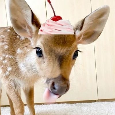 ranita_con's profile picture. ෆ Non-binary ෆ | horny femme | tengo una imagen para cada situación ♡ in love with cooking