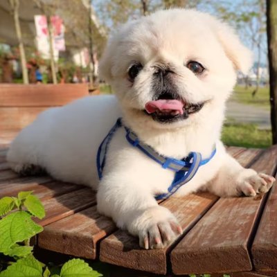 Mary14578's profile picture. Romans 8:28
We know that all things work together for good to those who love God