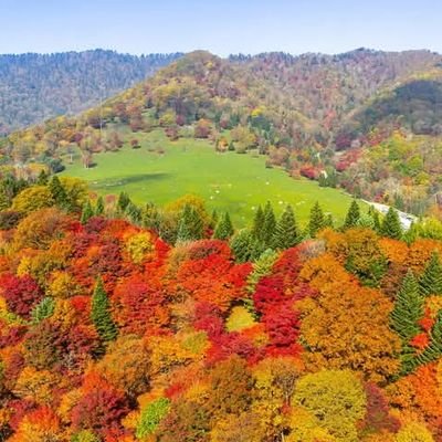 sultan1ever's profile picture. Halliru umar im single im looking a love & care i like funny music chilling movie i don't want trouble in my life sultan1ever@yahoo.com +2348090949155