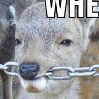 VeganBitz's profile picture. The Sox will rise again | she/they Ⓐ ☭ Ⓥ