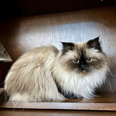 Marwilson's profile picture. 