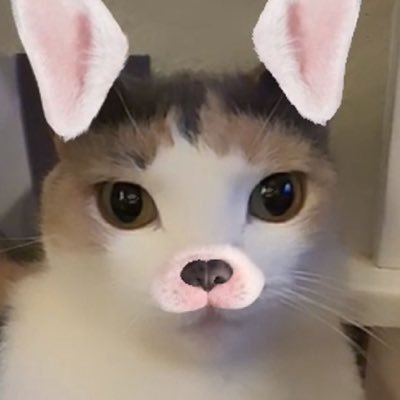 urklefarkle's profile picture. #katieb