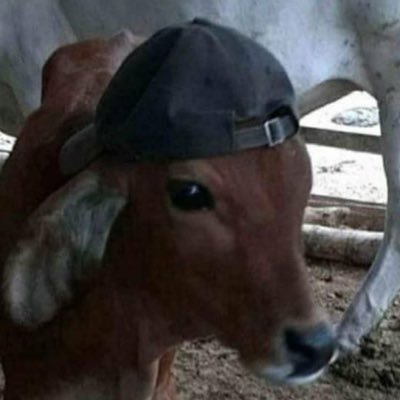 CrThnan's profile picture. It is not allowed to save the drawing in any case If you are interested in the work, click the link ig.