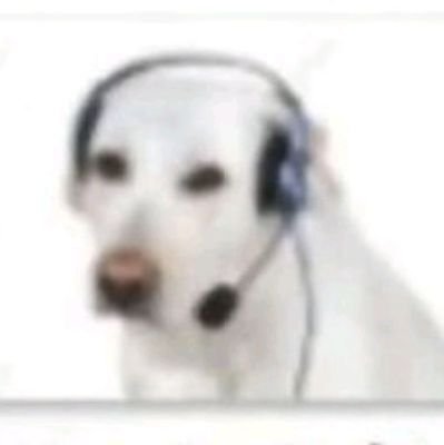 omegaisde4d's profile picture. some days i pretend i'm god, in others i pray he gently kills me | toco bateria, reclamo e penso em vampirismo e sangue acima da média considerada saudável 🧷🩸