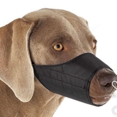 PlaceSean's profile picture. he/him | Forbes 30 Under 30