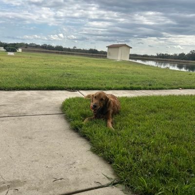 parkerdanna34's profile picture. 