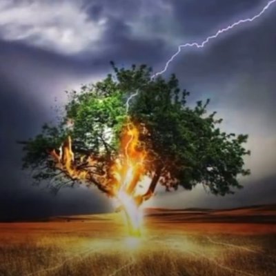 IamK200's profile picture. 