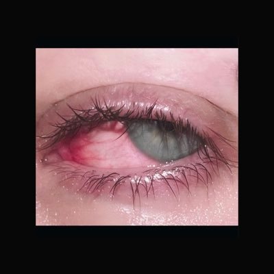 barbara_brisan's profile picture. 