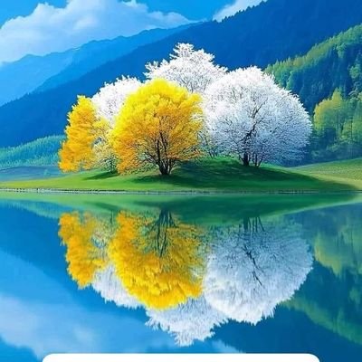 mansoor_ja22746's profile picture. 