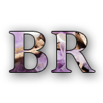 BrightRomance's profile picture. a new blog for wedding photography and all the wedding world