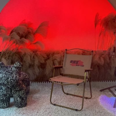 ice_brig56569's profile picture. 生活木性