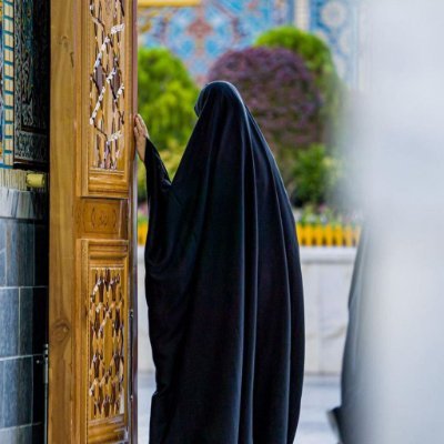 negarsadegi81's profile picture. دانشجوی رشته ی حقوق