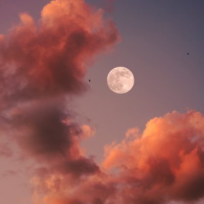 CoconutMat63384's profile picture. 