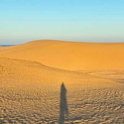 wofclv87a's profile picture. 政治・社会・時事問題について。無宗教。無党派。党派に関わらず拘らず事実に基づき国益のための政策議論をする政治家ご本人を個別に支持。生きもの・植物・微生物・自然が好き。