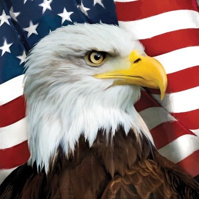 PaveloBreit's profile picture. Scammers pls stay away