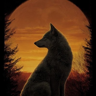 bestlovewolf's profile picture. Best wolf 🐺 love to make friend and meet new people furry