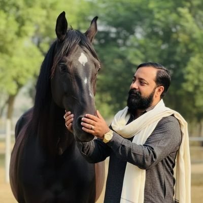 MarketsApe92460's profile picture. 🦍 APEX TRADING ACADEMY | Free Signals Daily 📈 20%+ Gains Shared | Risk Mgmt | Live AMAs 🚀 Join 1K+ Traders: https://t.co/3rlwZWPezW DM for VIP Alpha