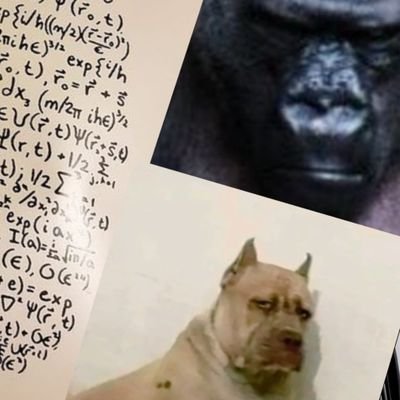 Wheresmynimd_'s profile picture. LGBT supporter 🤙🏻✌🏻❤️🏳️‍🌈🏳️‍⚧️ فروش و تکثیر دی‌وی‌دی پورن