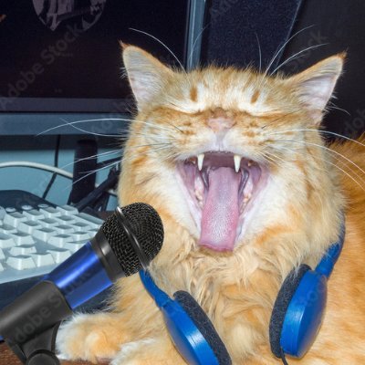 cupocoffii's profile picture. uhhhhhhhhhhhhh lowk js not active as much here sooo im kinda js abandoning this acc